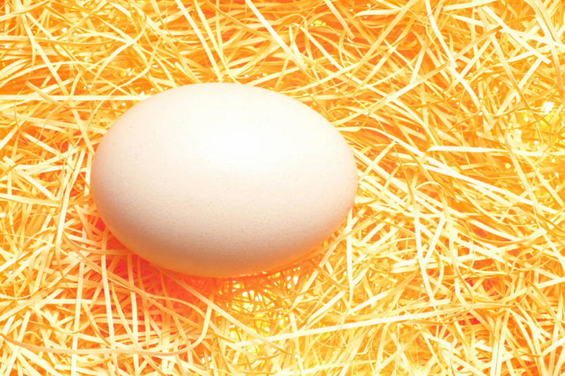 无人,横图,俯视,室内,特写,白天,阴影,反射,影子,蛋,鸡蛋,干草,一个,黄色,草垛,单个,卵,干草垛,彩图,高角度拍摄,鸡卵,鸡子