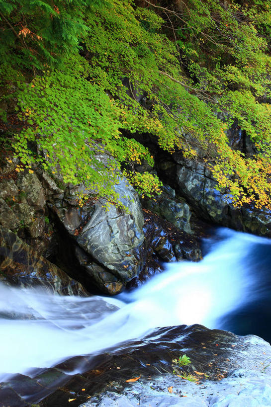 无人,竖图,室外,白天,正面,旅游,度假,河流,石头,美景,树林,水,植物,奈良县,日本,亚洲,飞溅,溅,石子,液体,河水,景观,水滴,水流,娱乐,水珠,树,树木,绿色,小溪,自然,溪水,享受,休闲,景色,放松,生长,成长,喷洒,自然风光,东亚,本州,本州岛,日本国,近畿地方,奈良,近畿,石块,岩石,彩图,吉野山