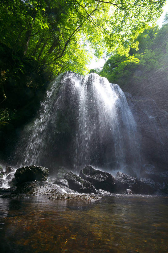 无人,竖图,室外,白天,仰视,旅游,度假,湖,湖泊,美景,瀑布,树林,水,植物,日本,亚洲,阴影,飞溅,溅,光线,液体,影子,湖面,景观,水滴,水流,水面,娱乐,水珠,树,树木,绿色,阳光,自然,湖水,享受,休闲,景色,放松,生长,成长,喷洒,自然风光,东亚,本州,本州岛,日本国,东北地方,福岛,福岛县,跌水,彩图,低角度拍摄,耶麻郡,猪苗代町,猪苗代湖