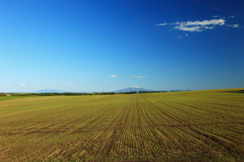 无人,农田,横图,室外,白天,正面,旅游,度假,庄稼,农作物,美景,北海道,日本,亚洲,阴影,光线,影子,地平线,景观,云,云朵,辽阔,地面,云彩,娱乐,蓝色,白云,蓝天,天空,阳光,自然,天,享受,休闲,广阔,景色,放松,晴朗,一望无际,自然风光,延伸,东亚,日本国,天地相交,北海道地方,北海道岛,无边无际,一马平川,晴空,彩图,耕地,庄稼田,鄂霍次克综合振兴局,网走郡,大空町,道东,网走支厅