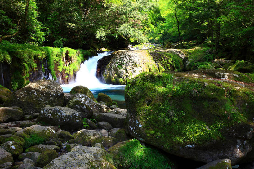 无人,横图,室外,白天,正面,旅游,度假,草地,草坪,河流,礁石,石头,美景,树林,水,植物,日本,亚洲,阴影,光线,石子,影子,河水,景观,水流,娱乐,草,树,树木,绿色,小溪,阳光,自然,溪水,享受,休闲,景色,放松,生长,成长,自然风光,东亚,日本国,九州本岛,九州,九州岛,九州地方,熊本,熊本县,菊池溪谷,礁,石块,岩石,彩图,菊池市