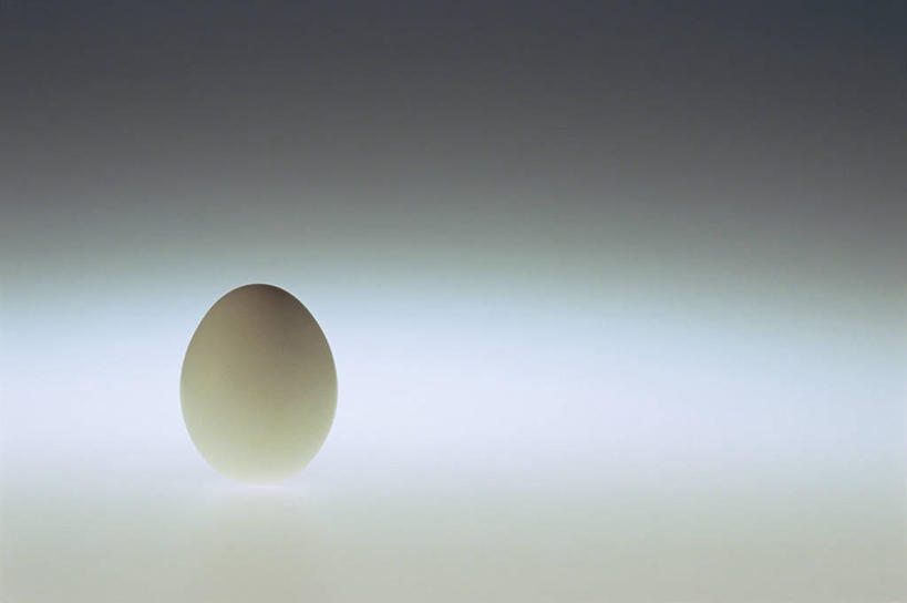 无人,横图,室内,特写,白天,正面,桌面,桌子,阴影,灰色背景,反射,影子,蛋,鸡蛋,一个,白色,灰色,摄影,影棚,单个,卵,彩图,影棚拍摄,拍摄,鸡卵,鸡子