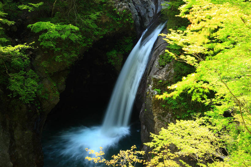 无人,横图,室外,白天,正面,旅游,度假,河流,美景,瀑布,树林,水,植物,日本,亚洲,阴影,飞溅,溅,光线,液体,影子,河水,景观,水滴,水流,娱乐,水珠,树,树木,绿色,阳光,自然,享受,休闲,景色,放松,生长,成长,喷洒,自然风光,东亚,德岛县,日本国,四国地方,四国,四国岛,徳岛,跌水,彩图
