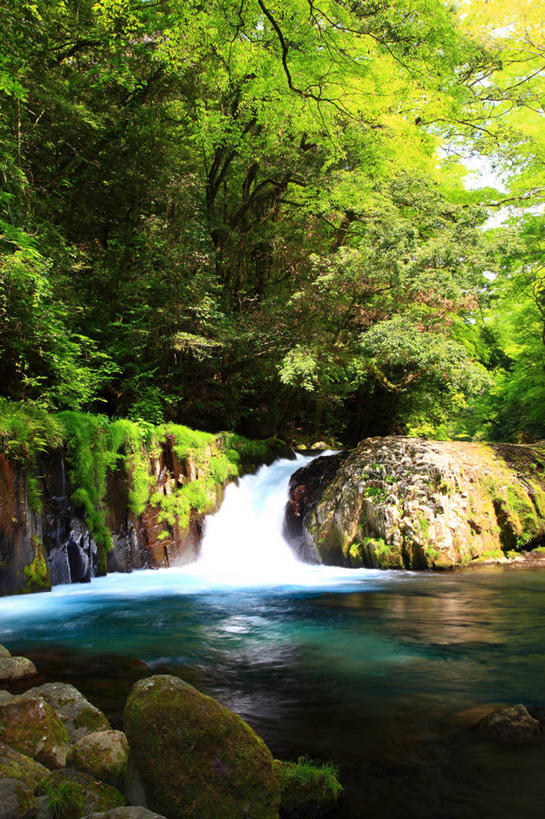 无人,竖图,室外,白天,正面,旅游,度假,河流,石头,美景,瀑布,树林,水,植物,日本,亚洲,阴影,飞溅,溅,光线,石子,液体,影子,河水,景观,水滴,水流,娱乐,水珠,树,树木,绿色,小溪,阳光,自然,溪水,享受,休闲,景色,放松,生长,成长,喷洒,自然风光,东亚,日本国,九州本岛,九州,九州岛,九州地方,熊本,熊本县,菊池溪谷,跌水,石块,岩石,彩图,菊池市