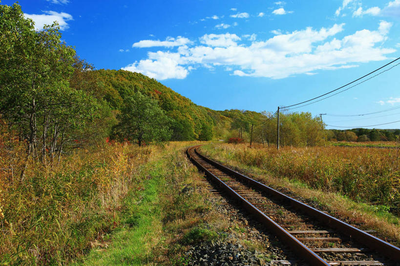 无人,横图,室外,白天,正面,旅游,度假,草地,草坪,美景,植物,路,铁路,北海道,日本,亚洲,阴影,光线,影子,景观,云,云朵,轨道,交通,铁轨,云彩,娱乐,草,树,树木,黄色,蓝色,绿色,白云,蓝天,天空,阳光,自然,天,享受,休闲,景色,放松,运输,生长,晴朗,成长,自然风光,东亚,日本国,北海道地方,北海道岛,钏路支厅,晴空,彩图,振兴局,钏路综合振兴局,钏路,钏路市,道东