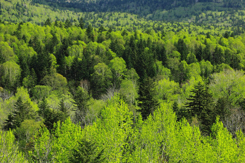 无人,横图,俯视,室外,白天,旅游,度假,石头,美景,北海道,日本,亚洲,阴影,光线,石子,影子,景观,娱乐,阳光,自然,享受,休闲,景色,放松,自然风光,东亚,日本国,北海道地方,北海道岛,美瑛町,美瑛,道北,石块,彩图,高角度拍摄,上川郡,上川支厅