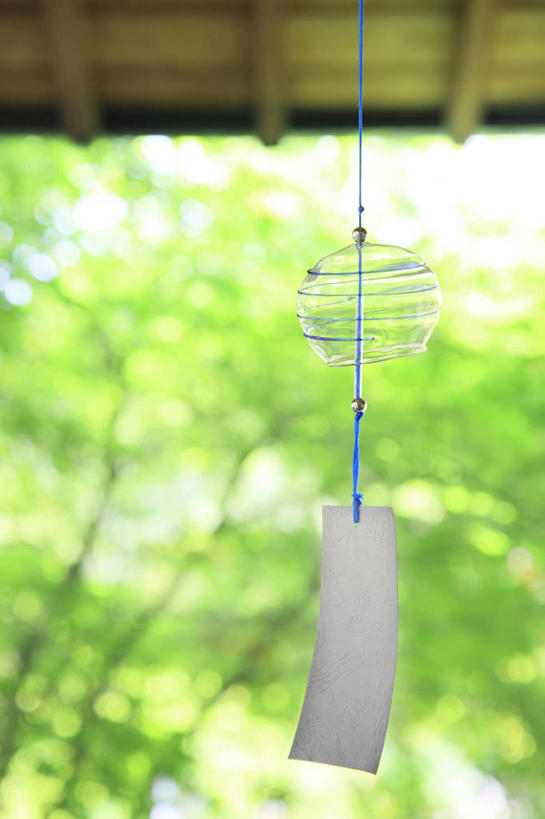 无人,竖图,室内,特写,白天,仰视,幸福,运气,植物,天花板,风铃,玻璃,日本,亚洲,吊挂,悬挂,阴影,朦胧,模糊,反射,影子,挂,玻璃制品,树,树木,一个,绿色,自然,祈祷,祈福,警示,许愿,生长,单个,成长,祈求,吉祥,平和,问候,东亚,警惕,日本国,思念,想念,玉振,幸运,占风铎,彩图,低角度拍摄,日式风铃