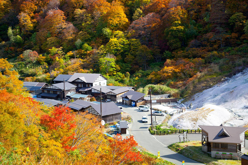 无人,家,横图,俯视,室外,白天,旅游,度假,美景,树林,植物,叶子,秋田县,日本,亚洲,阴影,光线,影子,房屋,屋子,景观,枯叶,落叶,娱乐,楼房,住宅,树,树木,黄色,红色,绿色,阳光,自然,享受,休闲,景色,放松,生长,成长,自然风光,东亚,本州,本州岛,日本国,秋田,东北地方,汤泽,汤泽市,叶,叶片,彩图,高角度拍摄,房子