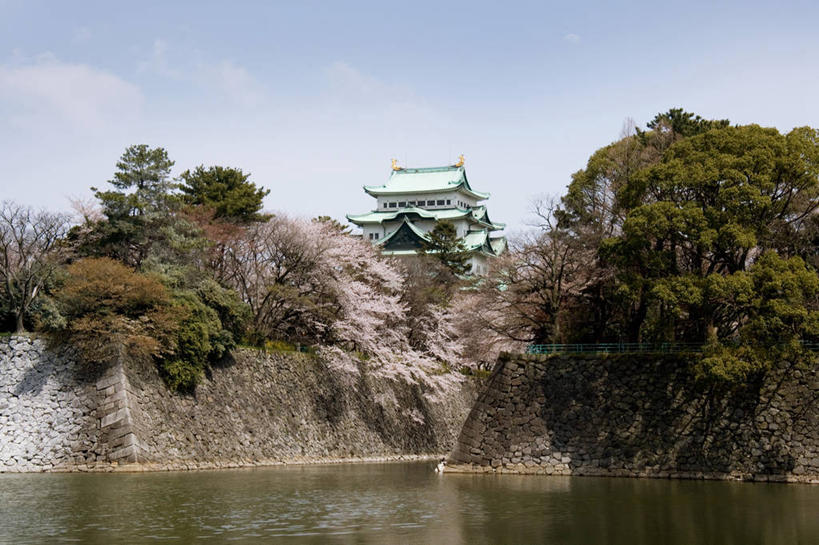 无人,横图,室外,白天,仰视,旅游,度假,幸福,纯洁,河流,水,植物,标志建筑,地标,建筑,樱花,爱知县,名古屋,日本,亚洲,阴影,波纹,盛开,光线,瓦片,影子,堡垒,城堡,墙,屋顶,河水,水流,云,云朵,涟漪,花蕾,云彩,顶棚,瓦,娱乐,建设,墙壁,墙面,花,花瓣,花朵,鲜花,树,树木,蓝色,绿色,白云,倒影,蓝天,水纹,天空,阳光,自然,波浪,天,花苞,花蕊,享受,休闲,旅游胜地,放松,建造,生长,晴朗,成长,等待,倒映,生命,要塞,东亚,屋瓦,本州,本州岛,日本国,中部地方,水晕,爱知,仙樱花,福岛樱,青肤樱,高尚,县厅,名古屋市,热烈,反照,设防,晴空,荆桃,彩图,低角度拍摄,名古屋城