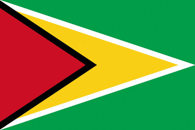 无人,横图,室内,特写,白天,正面,静物,旗帜,国旗,一面,三角形,图形,几何,黄色,红色,绿色,白色,黑色,数学,旗,彩图,几何图形,圭亚那国旗