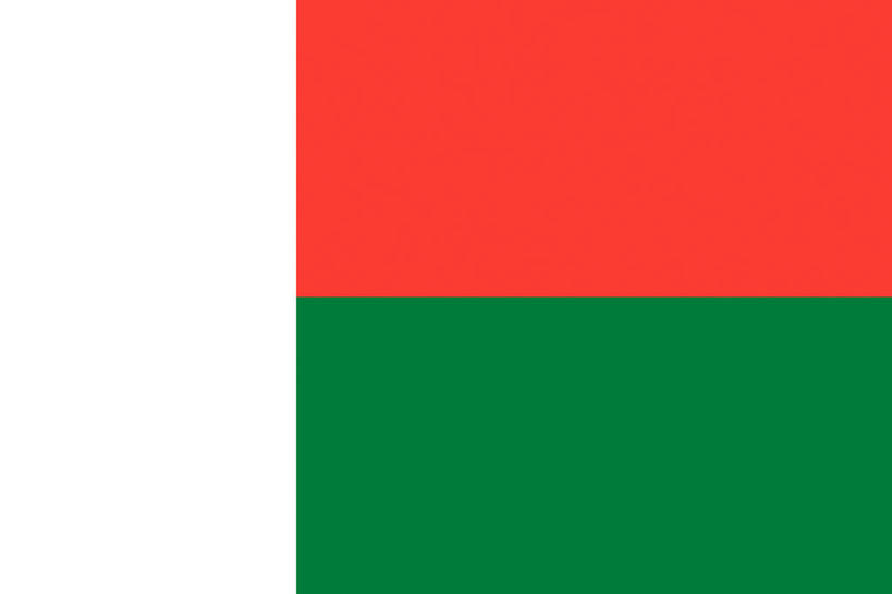 无人,横图,室内,特写,白天,正面,静物,旗帜,国旗,一面,红色,绿色,白色,旗,彩图,马达加斯加国旗