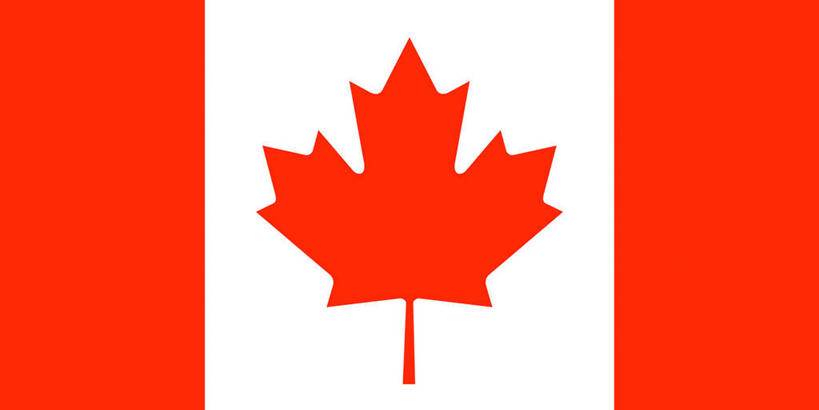 无人,横图,室内,特写,白天,正面,静物,旗帜,国旗,叶子,一片,枫叶,枯叶,落叶,红色,白色,枫树叶,加拿大国旗,叶,叶片,旗,彩图,枫叶旗