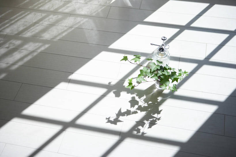 无人,横图,俯视,室内,白天,水,植物,阴影,光线,盆栽,液体,影子,水滴,盆景,绿色,阳光,自然,瓶子,塑料制品,塑料瓶,生长,成长,喷雾瓶,彩图,高角度拍摄,喷瓶