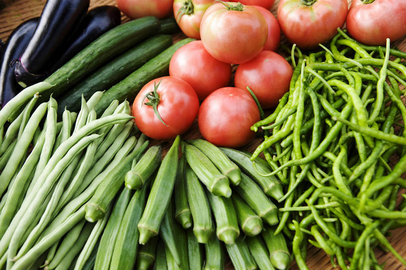 无人,横图,俯视,室内,特写,白天,黄瓜,茄子,蔬菜,西红柿,一堆,许多,阴影,堆叠,堆积,新鲜,反射,影子,秋葵,食品,很多,食物,红色,紫色,有机食品,绿色食品,堆,毛茄,羊角豆,黄秋葵,咖啡黄葵,洋柿子,青瓜,落苏,酪酥,昆仑瓜,胡瓜,柑仔蜜,番茄,臭柿,矮瓜,彩图,高角度拍摄,六月柿,羊角菜,喜报三元