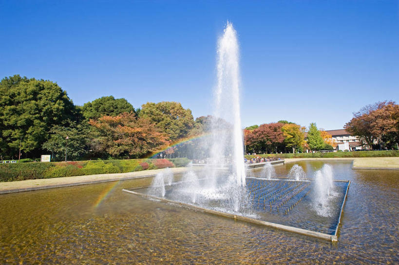 无人,公园,横图,室外,白天,正面,旅游,度假,草地,美景,树林,水,植物,喷泉,东京,日本,亚洲,阴影,飞溅,溅,光线,液体,影子,景观,水滴,文化,娱乐,水珠,草,树,树木,蓝色,绿色,蓝天,天空,阳光,自然,天,品味,享受,休闲,景色,放松,生长,晴朗,成长,喷洒,自然风光,水景,东亚,本州,万里无云,关东地方,本州岛,日本国,东京都,美观,东京上野公园,台东区,设计,晴空,晴空万里,彩图,上野,上野恩赐公园,上野公园