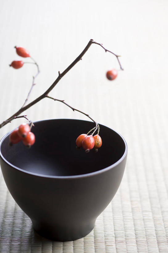 无人,竖图,俯视,室内,特写,白天,浆果,水果,阴影,新鲜,反射,影子,陶瓷,生食,食品,果实,枝条,陶瓷制品,塌塌米,榻榻米,树枝,食物,一个,黑色,容器,碗,摄影,有机食品,绿色食品,影棚,单个,储藏,储存,虬枝,枝杈,叠席,彩图,高角度拍摄,影棚拍摄,拍摄,贮存