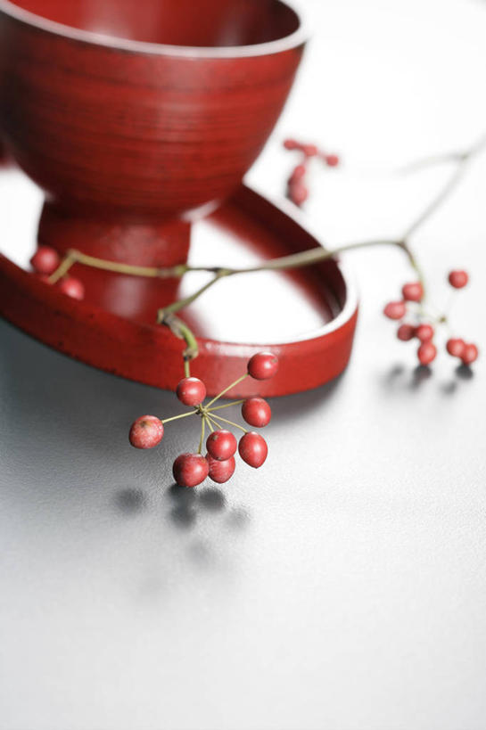 无人,竖图,俯视,室内,特写,白天,白色背景,浆果,餐具,水果,阴影,新鲜,反射,碟子,盘,影子,陶瓷,生食,食品,果实,枝条,陶瓷制品,树枝,食物,一个,红色,盘子,容器,碟,碗,摄影,有机食品,绿色食品,影棚,单个,储藏,储存,虬枝,枝杈,彩图,高角度拍摄,影棚拍摄,拍摄,贮存