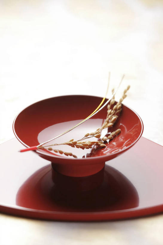 无人,竖图,俯视,室内,特写,白天,餐具,阴影,反射,碟子,盘,影子,陶瓷,枝条,陶瓷制品,树枝,一个,盘子,容器,碟,碗,摄影,影棚,单个,储藏,储存,虬枝,枝杈,彩图,高角度拍摄,影棚拍摄,拍摄,贮存