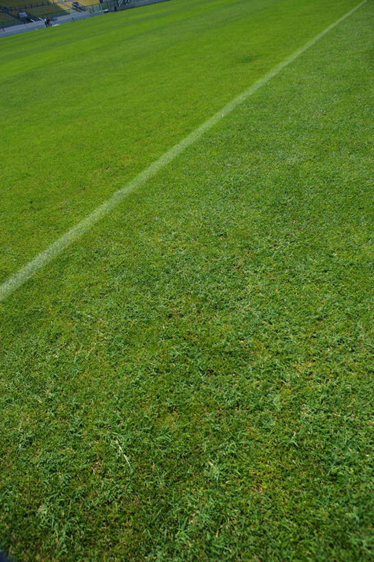 无人,足球场,竖图,俯视,室外,白天,草地,草坪,植物,阴影,光线,影子,草,绿色,白色,阳光,界限,绿茵场,彩图,高角度拍摄,足球比赛场地