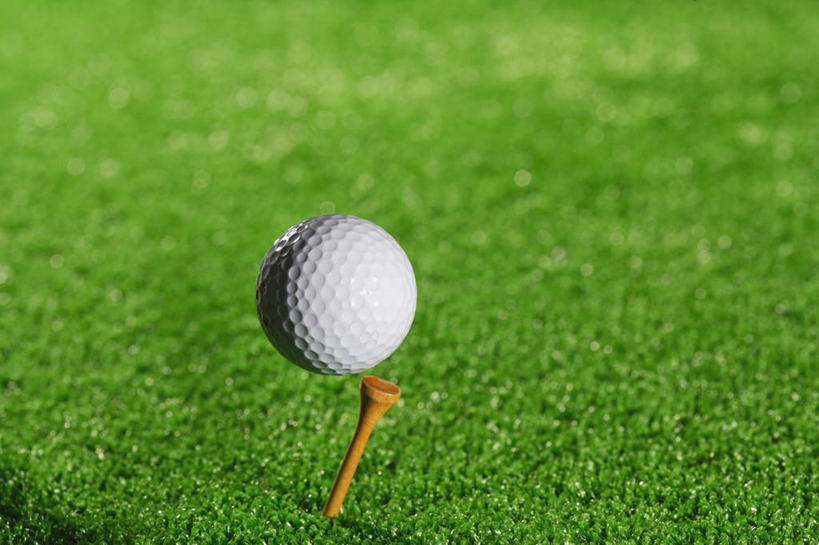 无人,横图,室外,特写,白天,正面,草地,草坪,植物,阴影,朦胧,模糊,光线,木制,高尔夫,高尔夫球,影子,球场,球座,高尔夫球场,草,树,树木,一个,绿色,阳光,自然,木制品,生长,单个,成长,支撑,绿茵场,高尔夫运动,高尔夫球具,支持,高尔夫球运动,彩图