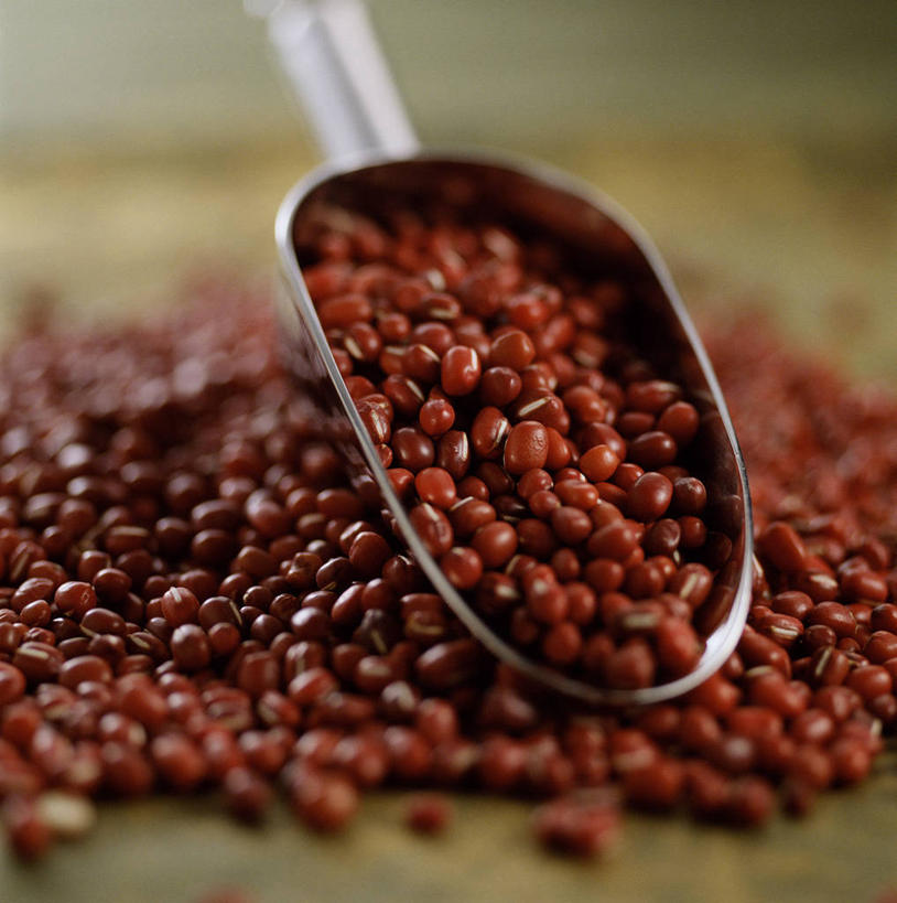 无人,竖图,室内,特写,白天,正面,爱情,蔬菜,金属制品,一堆,许多,堆叠,堆积,朦胧,模糊,新鲜,金属,勺子,红豆,食品,相思豆,很多,食物,一个,调羹,汤匙,冬青,有机食品,绿色食品,单个,堆,相思,彩图