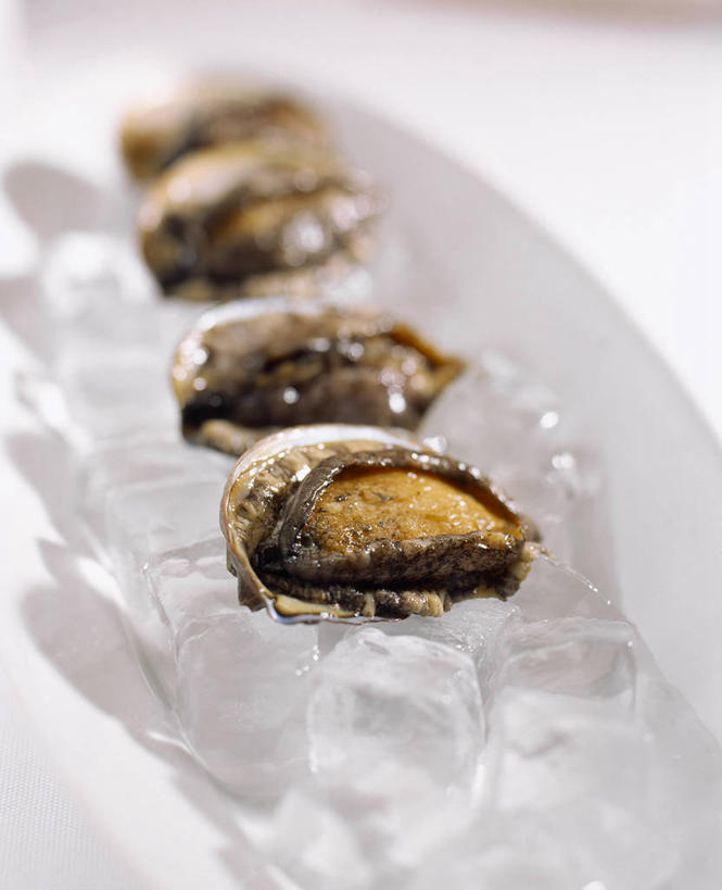 海鲜,无人,竖图,俯视,室内,特写,白天,白色背景,一堆,一排,堆叠,堆积,朦胧,模糊,整齐,鱼,冰,冰块,冷冻,水产,鱼类,海洋生物,排列,四个,寒冷,摄影,鲍鱼,影棚,冷藏,堆,石决明,冰冷,队列,水生动物,海产品,水生物,海底动物,保鲜,鳆鱼,镜面鱼,明目鱼,彩图,高角度拍摄,影棚拍摄,拍摄,红鲍