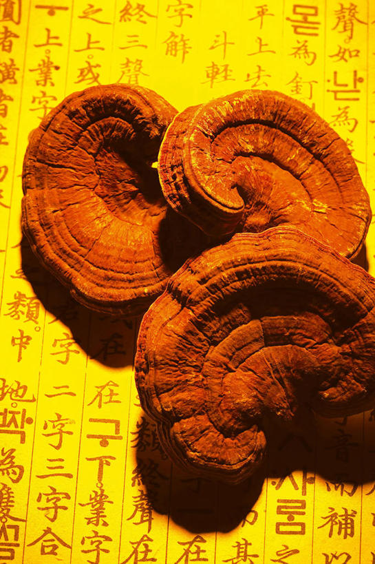 无人,竖图,俯视,室内,特写,白天,灵芝,书籍,阴影,反射,标志,文字,影子,字符,菌菇,菌类,标识,两个,黄色,书本,汉字,真菌,中文,国文,华文,药用菌,书,图书,神芝,灵芝草,彩图,高角度拍摄,菌灵芝