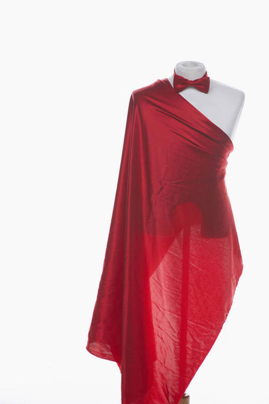 无人,竖图,室内,特写,白天,白色背景,正面,晚礼服,静物,阴影,反射,人造模特,影子,红色,摄影,影棚,道具,模特道具,时装道具,彩图,影棚拍摄,晚宴服,舞会服,洋服,洋装,夜礼服,拍摄,包布模特,服装立裁人台,人台,试衣模特,试衣人台