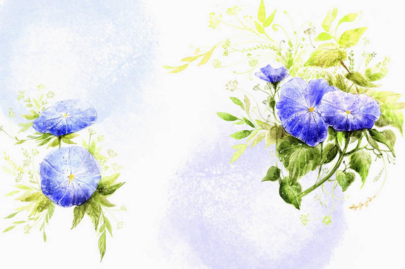 无人,横图,插画,室内,白天,白色背景,正面,数码,科技,阴影,盛开,网络,高光,几何,计算机图形,合成,花蕾,图画,画,花,花瓣,花朵,鲜花,紫色,春季,春天,花苞,花蕊,生机,电脑合成图,数码合成图,生命,合成图,漫画,写实,具体,具象,春日,彩图