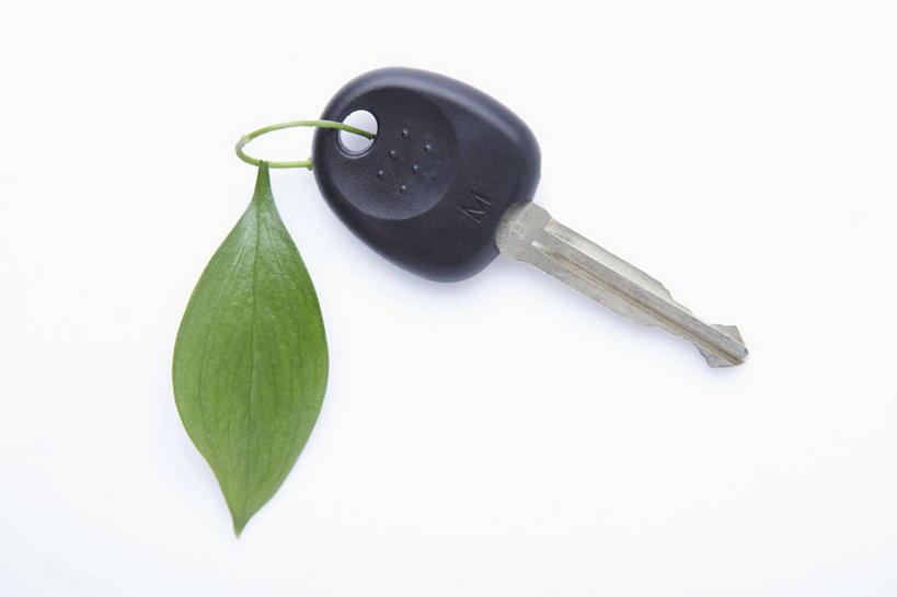 无人,横图,俯视,室内,特写,白天,白色背景,安全,植物,叶子,连接,阴影,装饰,反射,纹理,影子,绿叶,防护,钥匙,钥匙圈,一个,绿色,嫩叶,摄影,影棚,单个,保护,华丽,修饰,点缀,开启,封闭,钥匙链,保险,私密,钥匙扣,肌理,保全,周全,安稳,安定,防盗,衬托,美观,雅致,雅观,贯穿,连结,衔接,串连,平安,叶,叶片,叶脉,彩图,高角度拍摄,影棚拍摄,拍摄,锁匙扣,钥匙挂