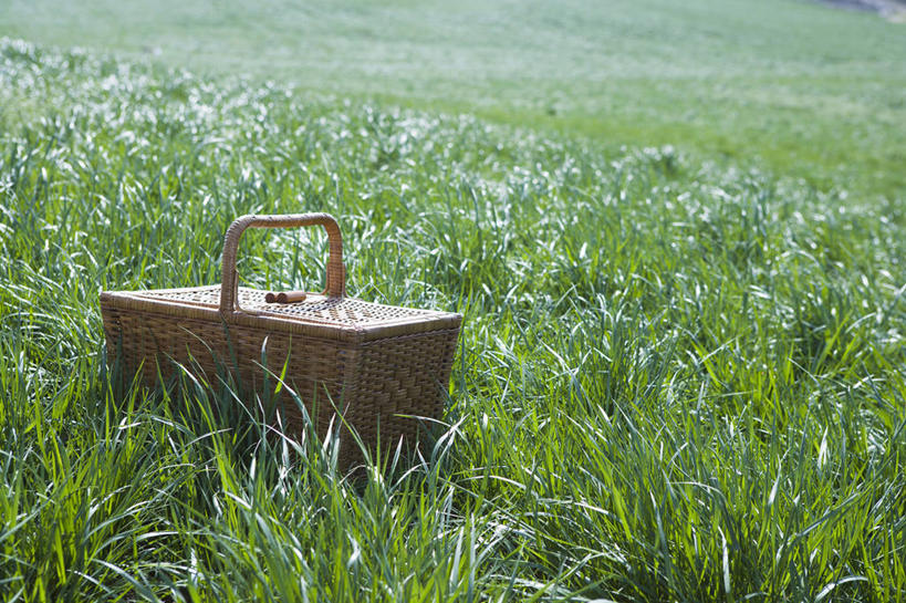 无人,交叉,横图,室外,白天,正面,草地,草坪,美景,植物,竹子,阴影,竹制,编织,光线,篮子,影子,景观,草,一个,绿色,阳光,自然,竹篮,景色,单个,竹条,交织,竹制品,自然风光,食物篮,穿插,彩图,野餐篮