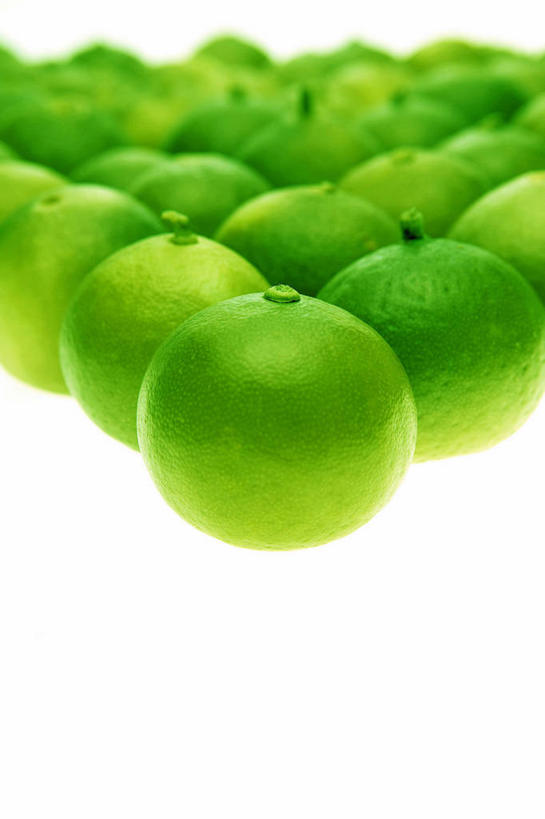 无人,竖图,室内,特写,白天,白色背景,正面,水果,一排,许多,新鲜,整齐,并列,并排,生食,食品,果实,很多,食物,排列,绿色,摄影,有机食品,绿色食品,影棚,队列,平行,酸橙,代代,橙子,橙,彩图,影棚拍摄,拍摄