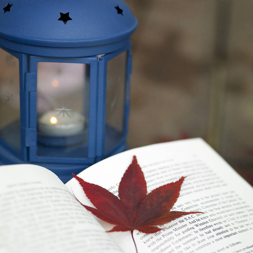 无人,竖图,俯视,室内,特写,白天,书籍,叶子,照明,一本,朦胧,模糊,灯光,枫叶,枯叶,落叶,灯,一个,黄色,红色,书本,单个,枫树叶,照亮,照明设备,手电筒,电筒,手电,叶,叶片,书,图书,彩图,高角度拍摄