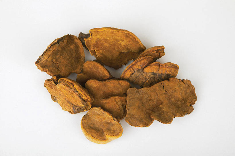 无人,横图,俯视,室内,特写,白天,白色背景,植物,一堆,许多,阴影,堆叠,堆积,反射,影子,菌菇,草药,药草,很多,菌类,中药,摄影,影棚,堆,真菌,药材,中草药,中药材,本草,药用菌,彩图,高角度拍摄,影棚拍摄,拍摄