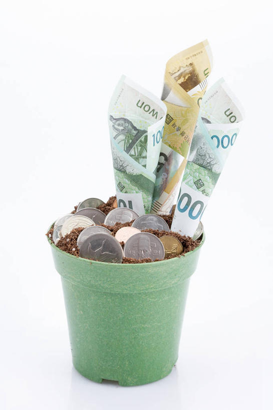 无人,竖图,室内,特写,白天,白色背景,正面,钱,静物,花瓶,许多,阴影,反射,钱币,影子,陶瓷,泥土,土壤,陶瓷制品,很多,瓶子,钞票,金融,纸币,摄影,影棚,韩币,经济,流通,纸钞,贸易,货币,现金,硬币,彩图,影棚拍摄,拍摄,圜