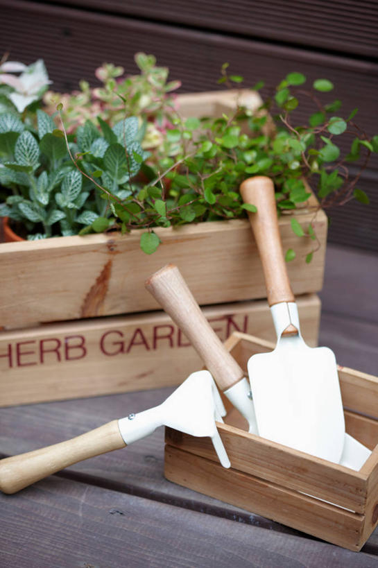 无人,竖图,室内,特写,白天,正面,植物,桌面,桌子,金属制品,阴影,反射,金属,木制,铲子,盆栽,影子,木桌,盆景,绿色,自然,木制品,生长,成长,彩图,手铲,木桌子