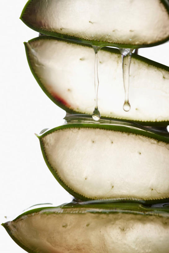 无人,竖图,室内,特写,白天,白色背景,正面,水,芦荟,液体,水滴,摄影,影棚,横截面,剖面,罗帷草,讷会,奴会,象鼻莲,象胆,截面,截面图形,彩图,影棚拍摄,拍摄,油葱