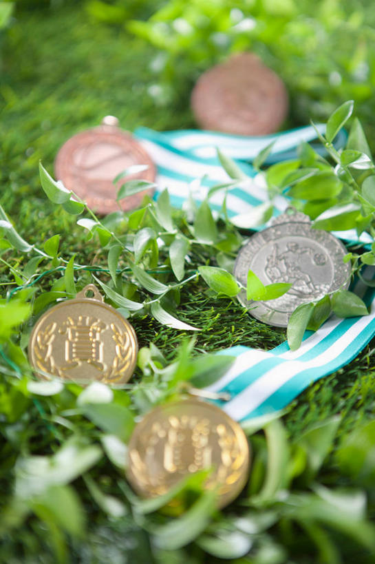 无人,竖图,俯视,室外,特写,白天,成功,胜利,草地,草坪,植物,阴影,朦胧,模糊,光线,影子,草,三个,绿色,阳光,光彩,奖牌,金牌,荣誉,奖品,铜牌,银牌,荣耀,光荣,彩图,高角度拍摄