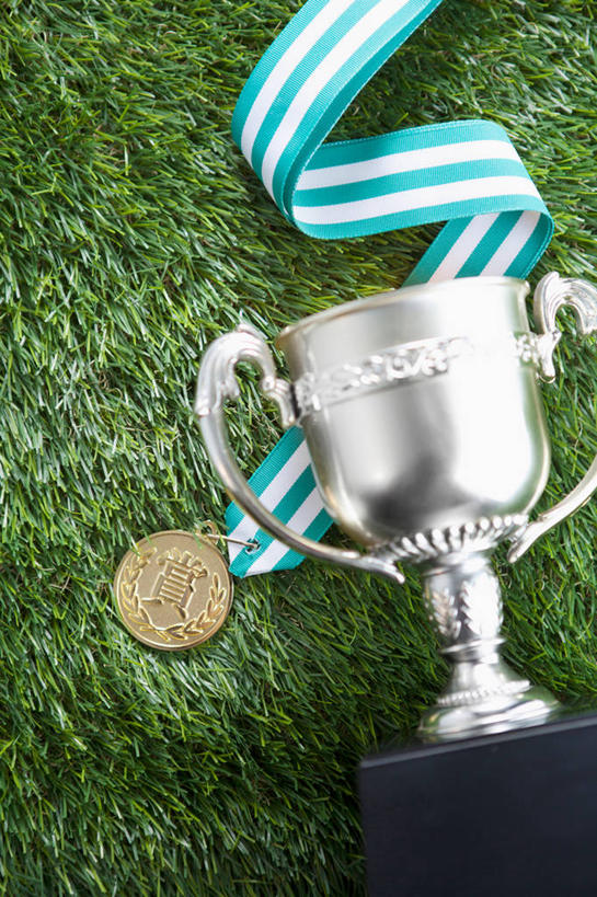 无人,竖图,俯视,室内,特写,白天,成功,胜利,草地,草坪,植物,阴影,反射,影子,草,绿色,光彩,奖牌,金牌,荣誉,奖品,荣耀,光荣,彩图,高角度拍摄,奖杯