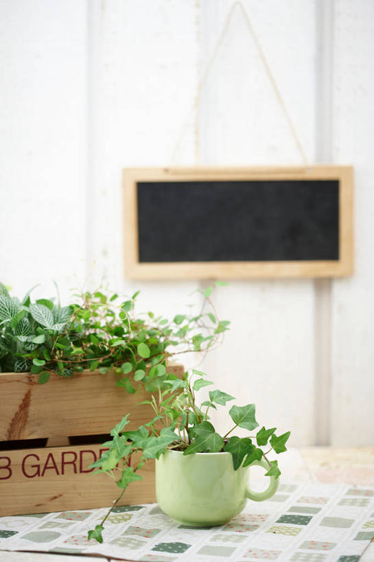 无人,竖图,室内,特写,白天,正面,植物,餐桌,桌子,杯子,阴影,反射,木制,瓷器,木盒,盆栽,影子,咖啡杯,盆景,陶瓷制品,绿色,自然,餐巾,木制品,容器,黑板,教学,生长,成长,餐台,储藏,储存,瓷杯,耐磨,教学黑板,保洁方巾,口布,彩图,贮存