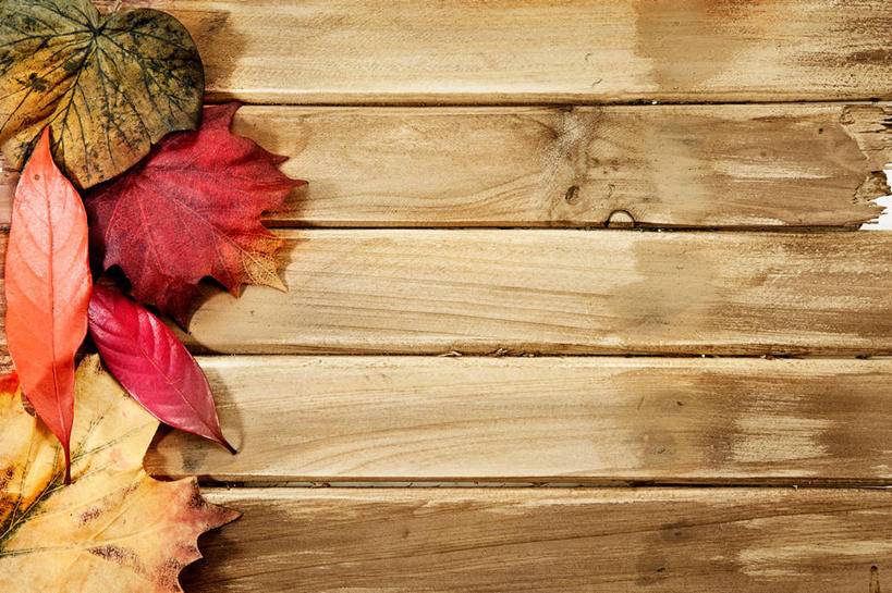 无人,横图,俯视,室内,特写,白天,秋季,桌面,桌子,叶子,一堆,许多,堆叠,堆积,木制,木桌,枯叶,落叶,很多,木制品,堆,叶,叶片,秋,秋天,彩图,高角度拍摄,木桌子