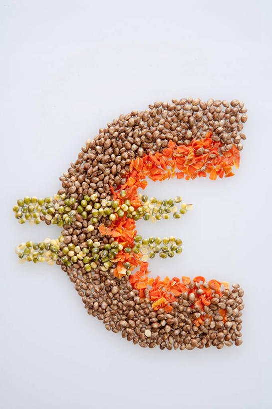 无人,竖图,俯视,室内,特写,白天,白色背景,钱,农作物,一排,许多,整齐,标志,钱币,文字,谷物,很多,欧元,标识,排列,金融,摄影,影棚,经济,队列,流通,贸易,货币,彩图,高角度拍摄,影棚拍摄,拍摄,欧元符号