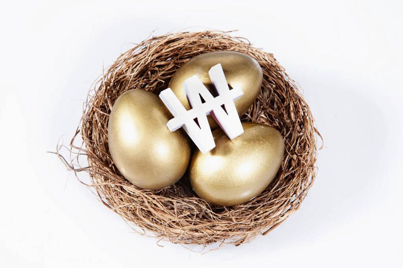 无人,横图,俯视,室内,特写,白天,白色背景,静物,阴影,环绕,缠绕,反射,标志,鸟巢,鸟窝,文字,影子,蛋,枝条,标识,树枝,金色,摄影,影棚,金蛋,纠缠,虬枝,枝杈,彩图,高角度拍摄,影棚拍摄,拍摄,韩币符号