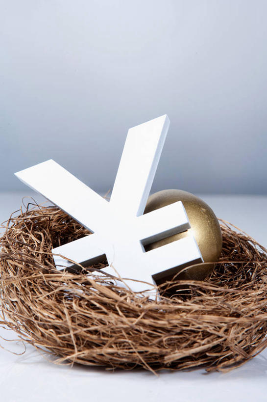 无人,竖图,俯视,室内,特写,白天,白色背景,静物,阴影,环绕,缠绕,反射,英文,标志,鸟巢,鸟窝,文字,影子,字符,字母,蛋,枝条,标识,树枝,金色,摄影,影棚,英文字母,金蛋,纠缠,虬枝,枝杈,彩图,高角度拍摄,影棚拍摄,拍摄