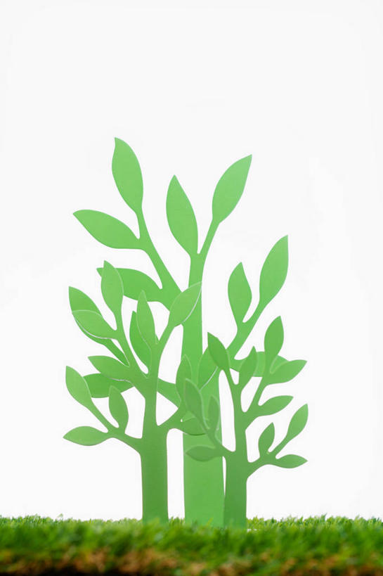 无人,竖图,室内,特写,白天,白色背景,正面,草地,草坪,植物,艺术,纸艺,手工艺品,文化,草,树,树木,绿色,自然,纸制品,工艺品,剪纸,摄影,影棚,生长,成长,高雅,自信心,品位,剪画,刻纸,彩图,影棚拍摄,拍摄