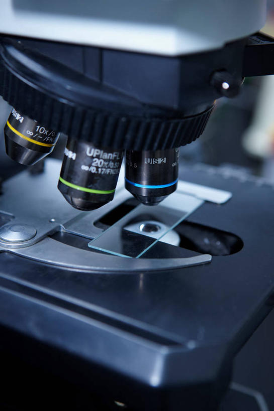 无人,竖图,室内,特写,白天,正面,仪器,静物,阴影,检查,朦胧,模糊,反射,分析,科学,显微镜,影子,一个,观察,清晰,探索,放大,单个,观看,仔细,透镜,凸透镜,聚焦,关注,载玻片,光学,清楚,玻片,盖玻片,彩图