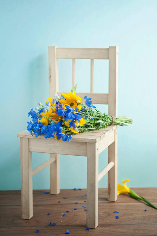无人,竖图,室内,白天,正面,爱情,风信子,椅子,阴影,蓝色背景,盛开,反射,影子,木椅,花蕾,花,花瓣,花朵,鲜花,黄色,蓝色,花苞,花蕊,摄影,影棚,悲伤,喜悦,风信花,怀念,悲哀,西洋水仙,彩图,影棚拍摄,拍摄