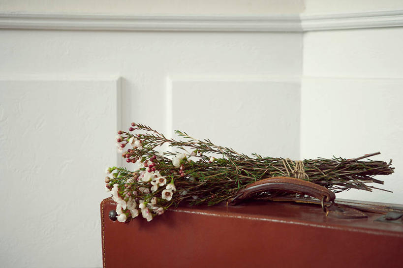 无人,横图,室内,特写,白天,正面,阴影,盛开,反射,包,影子,墙,花蕾,旅行包,墙壁,墙面,花,花瓣,花朵,鲜花,一个,白色,花苞,花蕊,单个,旅游包,提包,彩图