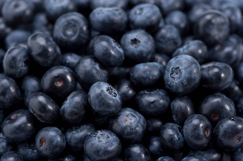 无人,横图,俯视,室内,特写,白天,浆果,蓝莓,水果,一堆,许多,阴影,堆叠,堆积,新鲜,透明,反射,影子,生食,食品,果实,很多,食物,蓝色,有机食品,绿色食品,堆,理智,沉静,冷色,高深,冷淡,山都柿,蓝浆果,蓝靛果,彩图,高角度拍摄,都柿,笃斯
