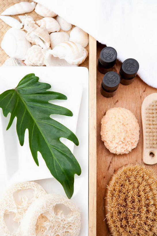 无人,竖图,俯视,室内,特写,白天,桌面,桌子,餐具,叶子,阴影,反射,木制,碟子,海绵,盘,影子,木桌,绿叶,干净,盘子,木制品,碟,清洁,享受,健康,嫩叶,放松,卫生,叶,叶片,彩图,高角度拍摄,浴用海绵,木桌子